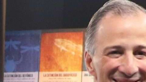 El candidato oficialista a la presidencia de México José Antonio Meade . (Foto: EFE/Prensa Campaña AMLO)