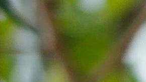 Balda espera que su caso judicial ayuda a mostrar lo sucedido en Ecuador.