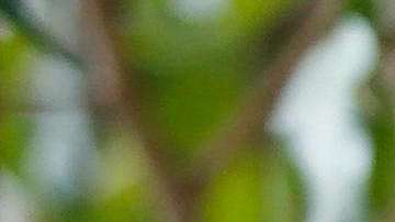 Balda espera que su caso judicial ayuda a mostrar lo sucedido en Ecuador.