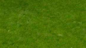 Keisuke Honda, goleador de Japón. EFE