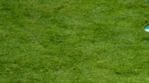 Mesut Oezil no toleró los señalamientos de los aficionados germanos. (Foto: EFE/EPA/DIEGO AZUBEL)