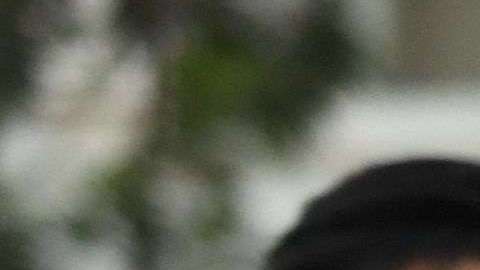 De Nueva York a Los Ángeles, más de 300 ciudades se han declarado santuarios desde que Trump tomó protesta, con el fin de prevenir la separación de familias con parientes indocumentados.