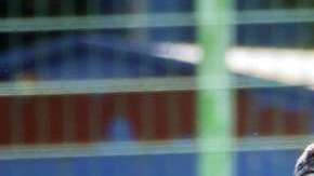 Juan Carlos Osorio tendrá una base de siete jugadores ante Corea