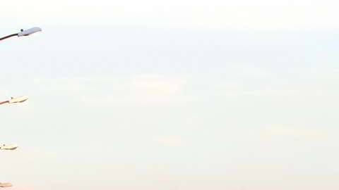 Narcomanta en la Ciudad de México.