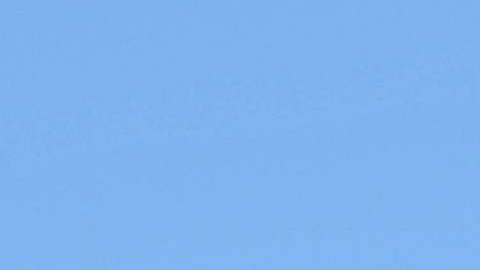 Andrés Manuel López Obrador y Ricardo Anaya.