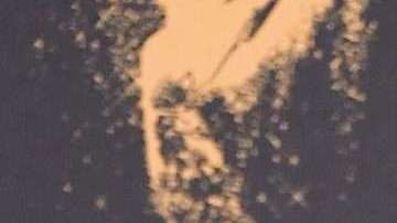 Bourdain y su última novia, la actriz italiana Asia Argento