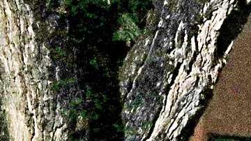 Atacan a familia en la Ciudad de México.