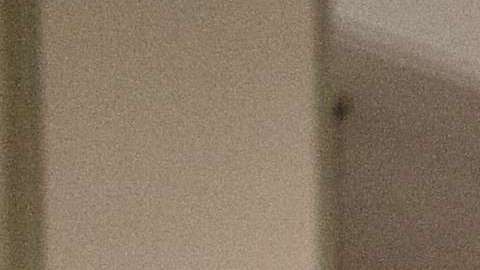 Averigua si no hay cobros extras en tu reservación de hotel.