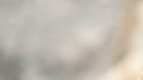 Los osos gryzzly abundan en ese parque canadiense.