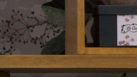 Verónica Castro y Aislinn Derbez son parte del elenco.