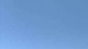 Entre los centroamericanos había una mujer embarazada.