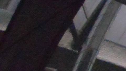 Chitown Futbol exhibe en alta resolución los juegos del Mundial de Rusia y es el sitio oficial para apoyar a México. (Javier Quiroz / La Raza)