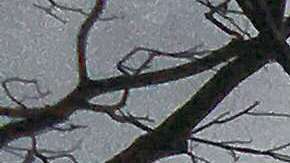 La generación de cono y la de flujo de lava en la fisura 8 continúa.