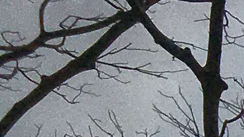 La generación de cono y la de flujo de lava en la fisura 8 continúa.