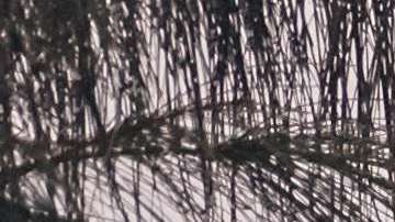 La isla sigue devastada a nueve neses del huracán María