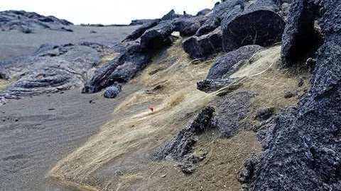 El “cabello de Pele” cubre el suelo en Hawaii por varias millas.
