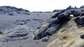 El “cabello de Pele” cubre el suelo en Hawaii por varias millas.