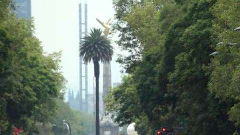 Reforma se llenó de colores