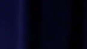 El presidente Trump abrazó la bandera tras defender su política migratoria.