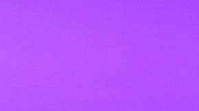 Jaime Rodríguez Calderón "El Bronco".