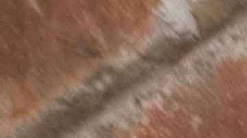 Rafael Amaya regresa como Aurelio Casillas  para la última temporada de "El Señor de los Cielos"./Archivo