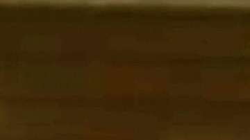 La escena candente de "El Señor de los Cielos 6"