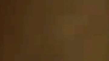 Fernanda Castillo y Matías Novoa.