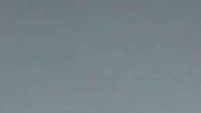 El doctor Voigt es nativo de Queens