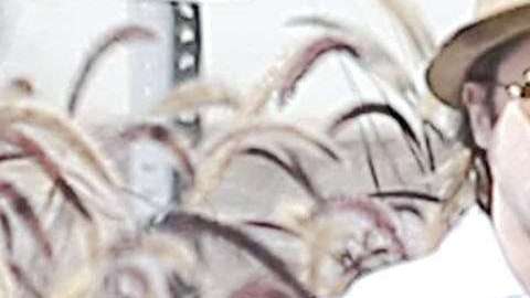 Brad Pitt y Angelina Jolie, en compañía de Pax y Shiloh, en 2015.