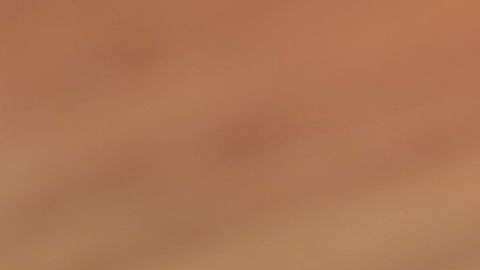 El monitor de actividad Fitbit Alta HR.