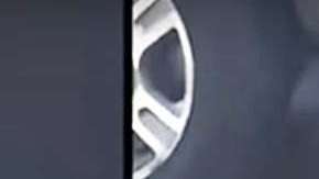 La abuela no soltó al lince hasta que logró matarlo.