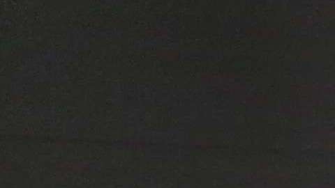 Hay visitantes de al menos 40 países a los que EEUU no exige visa.