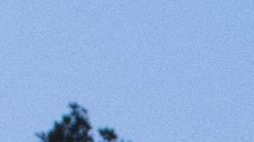 El hombre fue detenido en un punto de registro de la Casa Blanca.