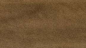 Antonio Nunes es el presidente de la Confederación Brasileña de Fútbol