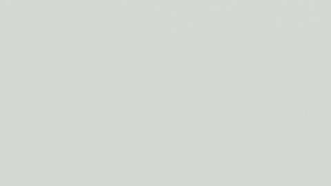 American Airlines y otras aerolíneas han dicho que no quieren ser cómplices de separación de familias.