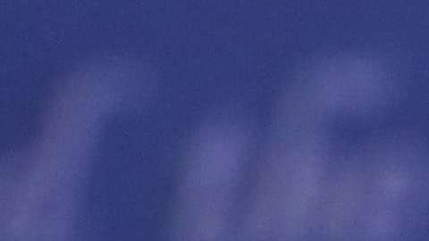 El DOJ impugnará decisión de corte contra Trump.