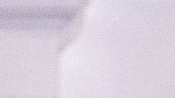 El tema surgió antes de que Giuliani fuera abogado del presidente.