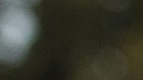 En febrero de 2017, Matthew Levatich, CEO de Harley-Davidson, se reunió con el presidente Trump.