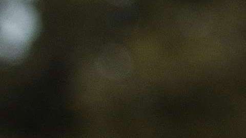 En febrero de 2017, Matthew Levatich, CEO de Harley-Davidson, se reunió con el presidente Trump.