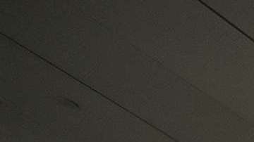 En febrero de 2017 se generó caos en varios aeropuertos de EEUU.