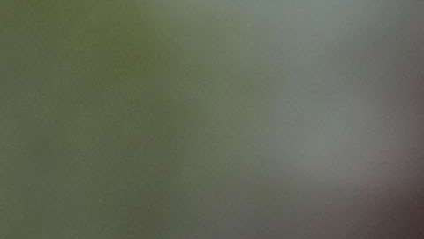 Juez Kennedy, 81 años de edad.