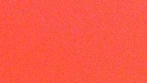 Michelle Obama coincidió con Laura Bush sobre la política migratoria de Donald Trump.