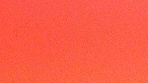 Michelle Obama coincidió con Laura Bush sobre la política migratoria de Donald Trump.