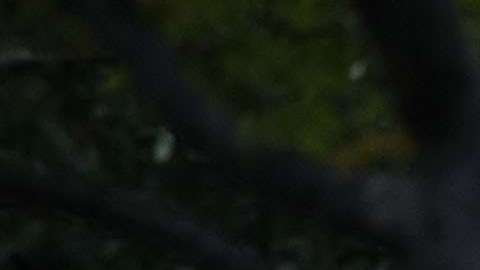 Ivanka Trump ha sido criticada por publicar imágenes de ella y sus hijos en medio de la crisis migratoria.