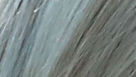 Ivanka Trump citó un supuesto proverbio chino.