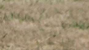 Shakira y Piqué siguen juntos.