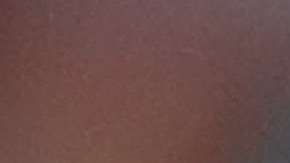 El serbio Milorad Mazic pitará el Corea del Sur vs. México