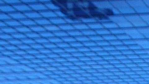 La mujer saltó del piso 17 del Hotel Edison.