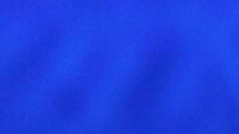 Trump Jr. presenta orgullosamente a su nueva novia tras su separación