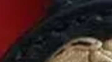 Una innovadora agenda política a favor de los indocumentados aterriza en Nueva York